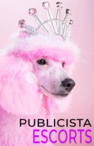 634103248:  en Málaga