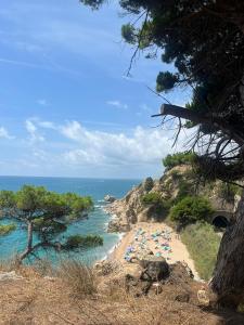 611334815:  en Barcelona