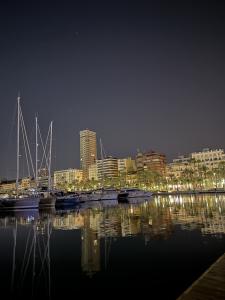 613233615:  en Alicante