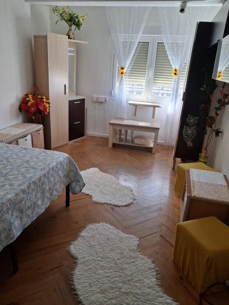 642286206:  en Burgos