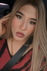 Travesti en Vizcaya: 