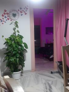 641738748:  en Almería