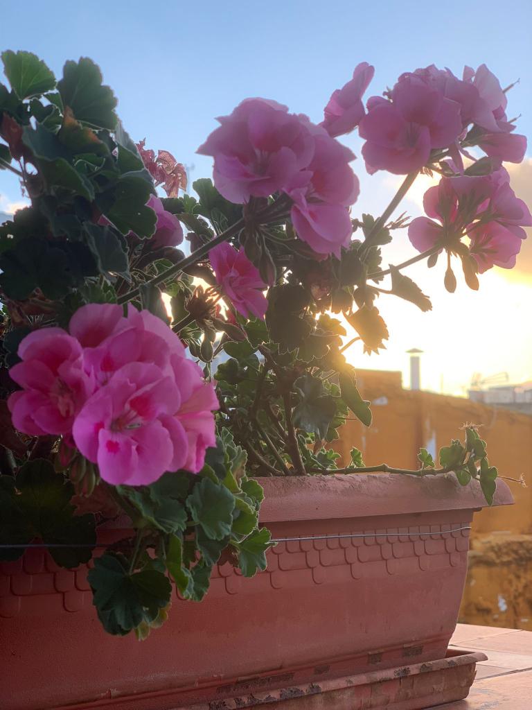 Chica busca chico en Cádiz: 