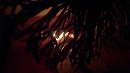 677200004: Chica busca chico en Huelva