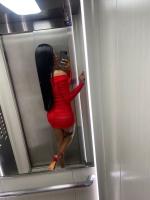 678669167: Transexual en Valencia