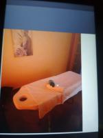 632271731: Chica busca chico en Navarra