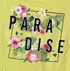 Chica busca chico en Soria: 