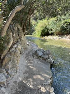 603239475:  en Alicante