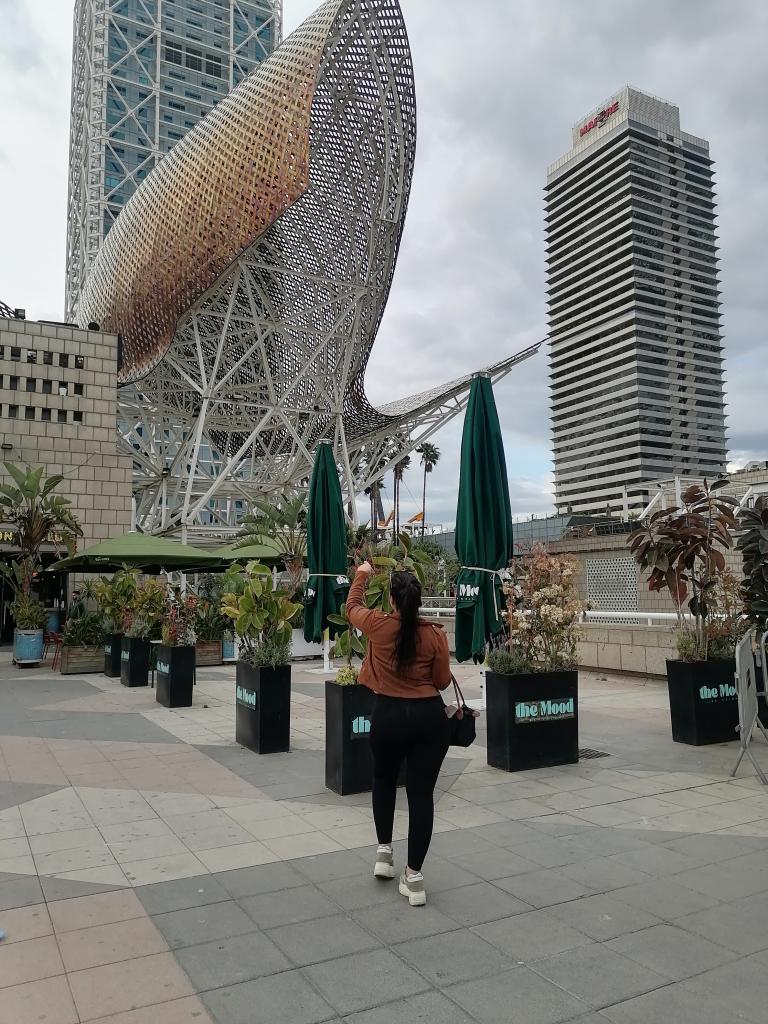 612435995: Chica busca chico en Barcelona