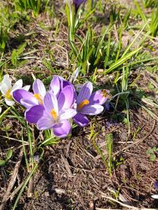 643879932: Travesti en Málaga