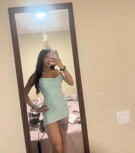 678667377: Transexual en Badajoz