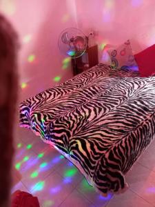 643526863:  en Toledo