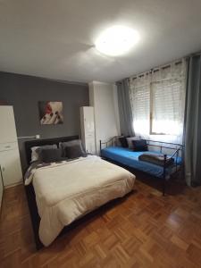 655446288:  en Navarra