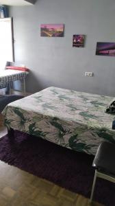 610061149:  en Asturias