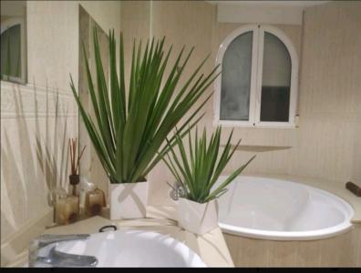 622731185:  en Valencia