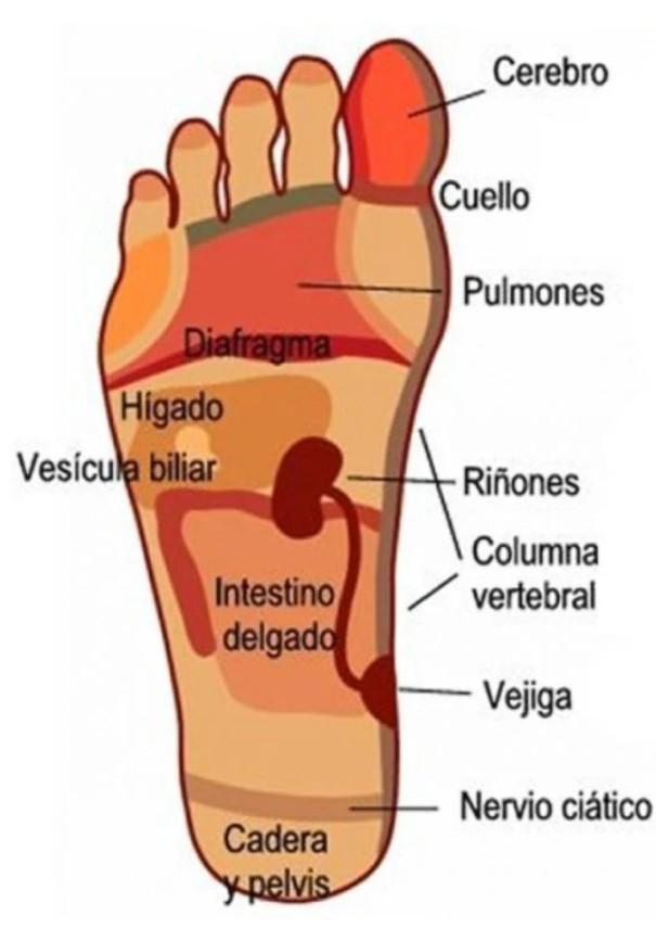 Chica busca chico en Tarragona: 