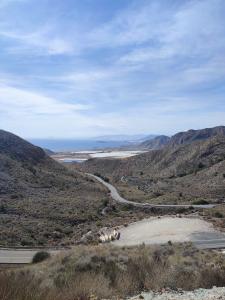 659219636:  en Murcia