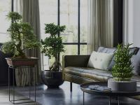 603300361:  en Madrid