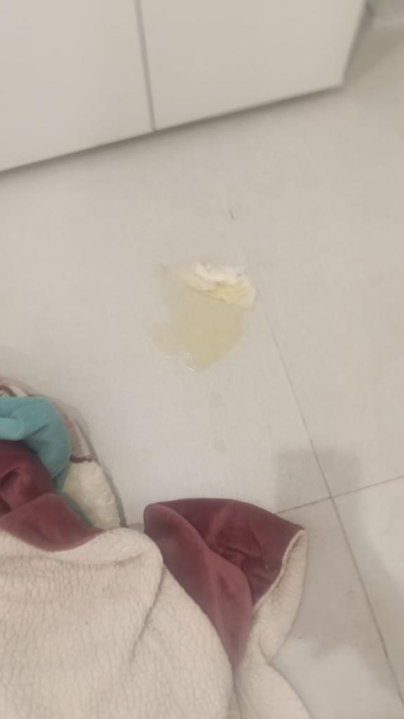 Chica busca chico en Cádiz: 