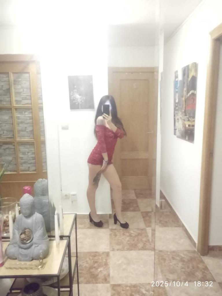 Chica busca chico en Alicante: 