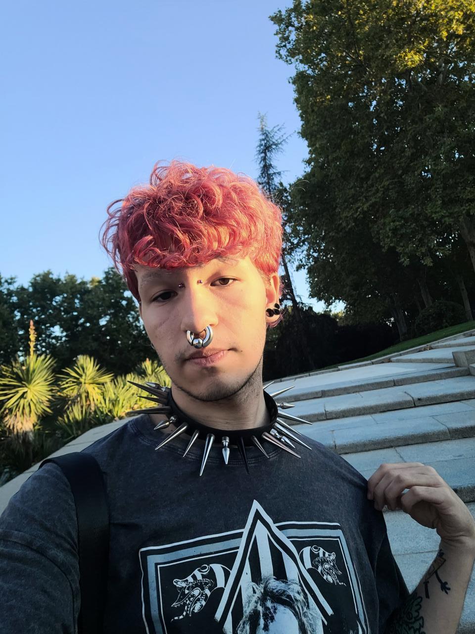 Chico busca chica en Madrid: 