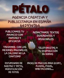 642934764: Chica busca chico en Zaragoza