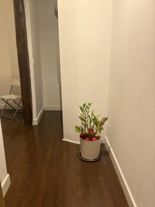 617465170:  en Madrid