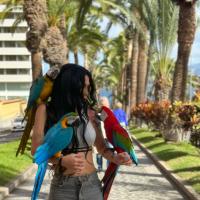 637536465: Travesti en Albacete