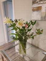 686224211:  en Barcelona