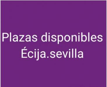 698405386:  en Sevilla