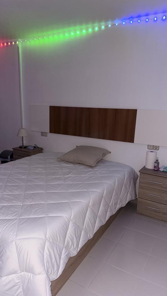 667636425:  en Alicante