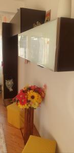 642286206:  en Burgos