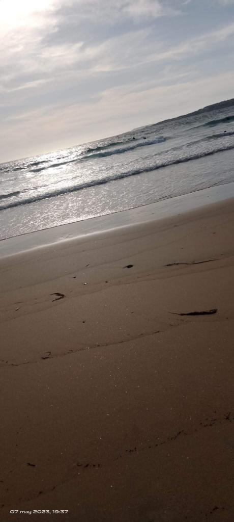 Chico busca chica en Pontevedra: 