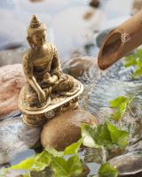 688394537:  en Madrid