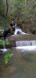 646835525: Transexual en Vizcaya