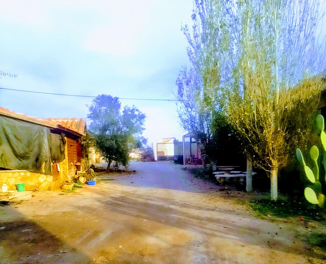 654957869: Virtual en Almería