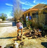 654957869: Virtual en Almería