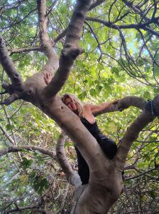 673044818: Virtual en Málaga