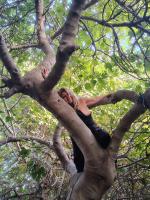 673044818: Virtual en Málaga