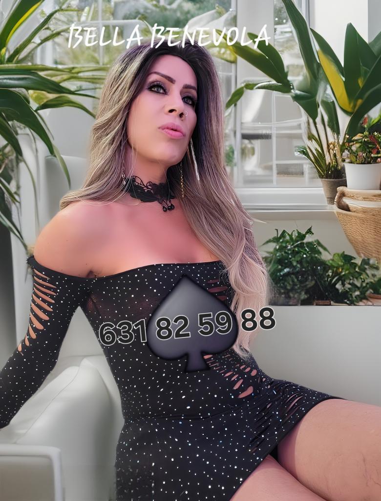 631825988: Transexual en Valencia