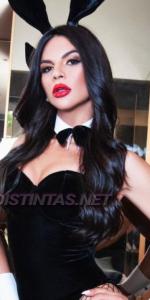 Transexual en Alicante: 