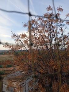 653769185:  en Valencia