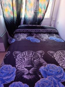 688250792:  en Asturias