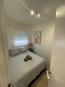 600972544:  en Madrid