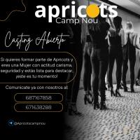 687167858:  en Barcelona