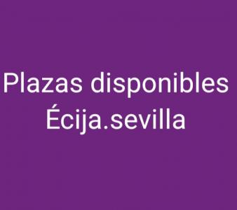 698405386:  en Cádiz