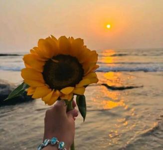 657858715:  en Murcia