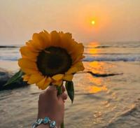 657858715:  en Murcia