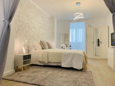 642048229:  en Zaragoza