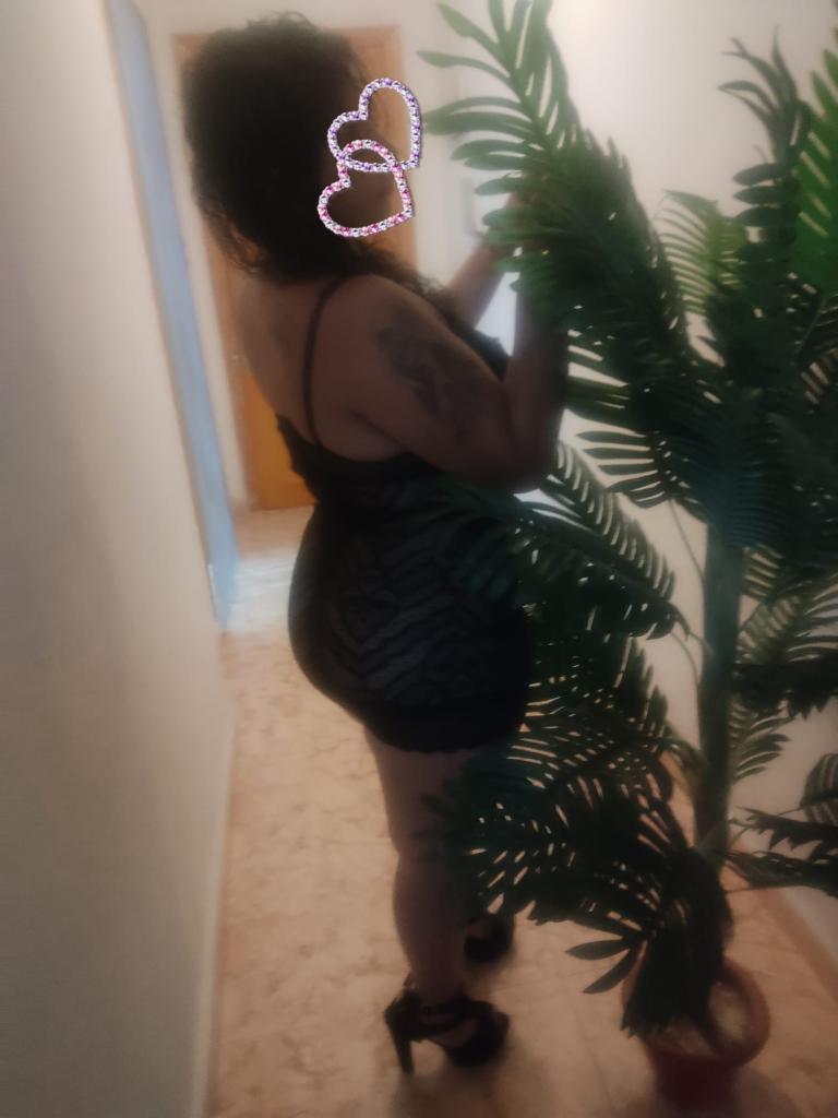 Chica busca chico en Alicante: 